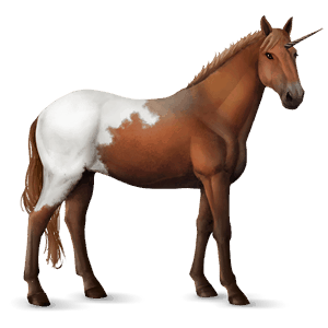 unicórnio de passeio cavalo andaluso ruço pigarço