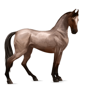 cavalo de passeio lazão crinalvo 