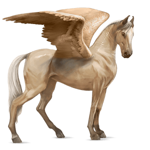 pégaso de passeio mangalarga marchador palomino
