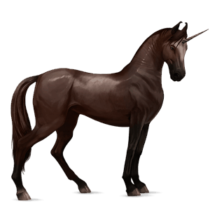 unicórnio de passeio appaloosa manto lazão 