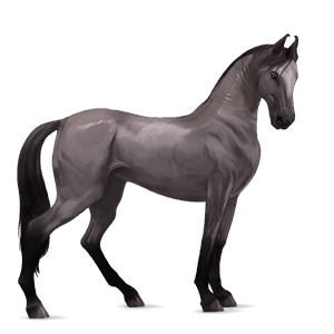cavalo de passeio puro sangue lusitano ruço pigarço
