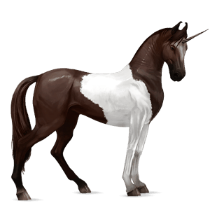 unicórnio de passeio appaloosa manto castanho 