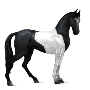 cavalo de passeio holstein ruço