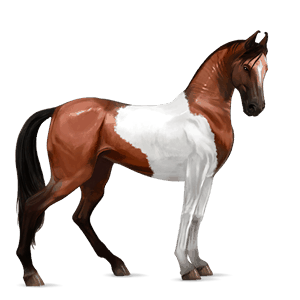 cavalo de passeio holstein lazão crinalvo 