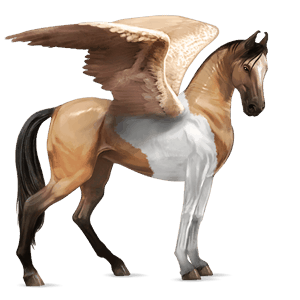 pégaso de passeio ruço pigarço