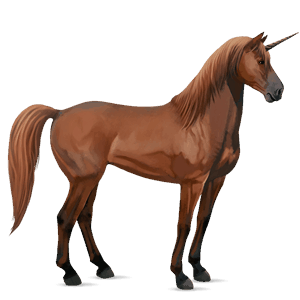 unicórnio de passeio lazão