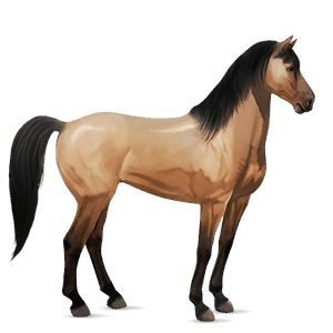cavalo de passeio mustangue lazão