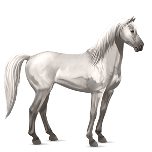 cavalo de passeio ruço