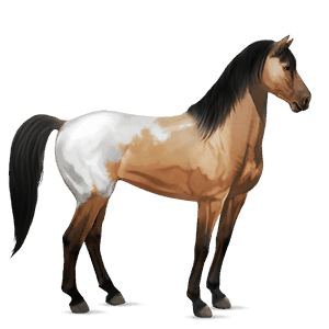 cavalo de passeio holstein lazão escuro
