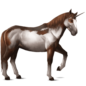 unicórnio de passeio tobiano castanho escuro