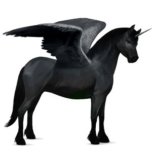 pónei unicórnio alado  welsh preto