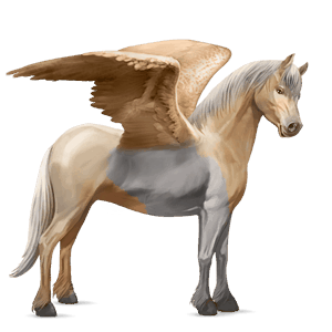 pónei pégaso haflinger palomino