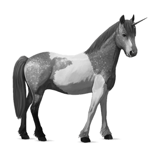 pónei unicórnio welsh lazão