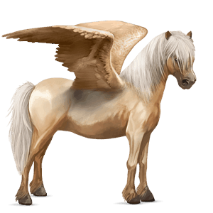 pónei pégaso kerry bog palomino