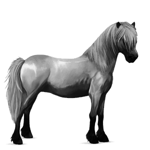cavalo de passeio camargue ruço salpicado