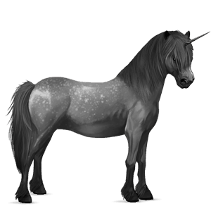 pónei unicórnio shetland castanho