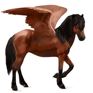 pégaso de passeio cavalo quarto de milha lazão