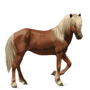 cavalo de passeio castanho escuro