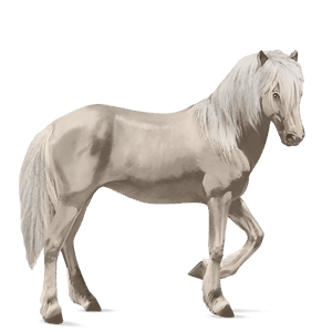 cavalo de passeio puro sangue lusitano ruço pigarço