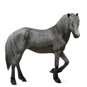 cavalo de passeio lazão escuro