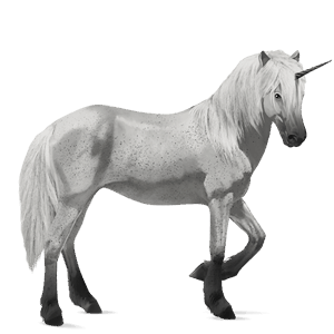 unicórnio de passeio crioulo argentino tobiano castanho