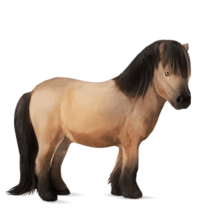 cavalo de passeio hanoveriano lazão crinalvo 