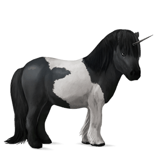 pónei unicórnio shetland tobiano com manchas pretas