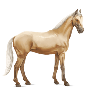 cavalo de passeio puro sangue inglês lazão