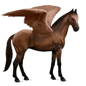 pégaso de passeio cavalo quarto de milha lazão crinalvo 