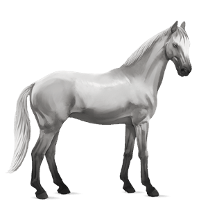 cavalo de passeio trotador francês lazão escuro