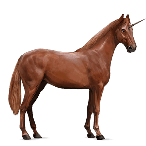 unicórnio de passeio cavalo don russo lazão
