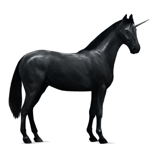 unicórnio de passeio cavalo don russo preto