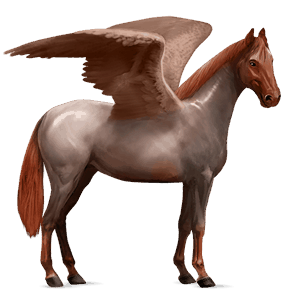 pégaso de passeio appaloosa manto com pintas palominas 