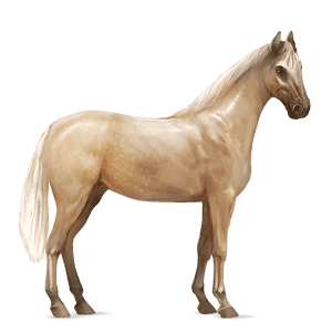 cavalo de passeio puro sangue lusitano ruço