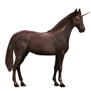 unicórnio de passeio cavalo don russo lazão escuro