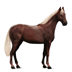cavalo de passeio trakehner lazão escuro crinalvo 