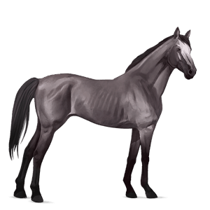 cavalo de passeio puro sangue inglês pardo rato