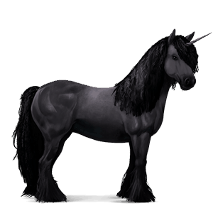 unicórnio de passeio cavalo islandês preto