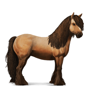 cavalo de passeio akhal-teke castanho escuro