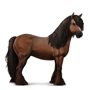 cavalo de passeio puro sangue inglês palomino
