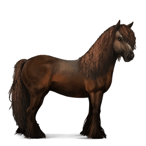 cavalo de passeio puro sangue inglês baio