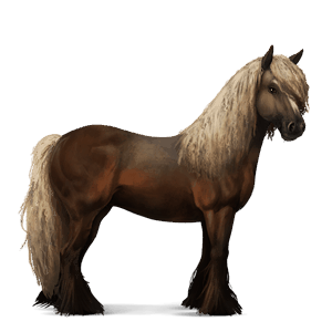 cavalo de passeio cavalo Árabe baio