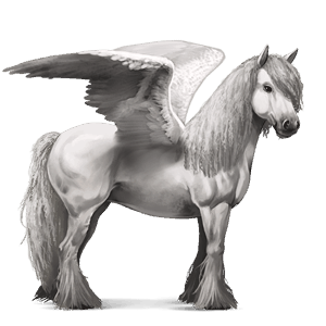 pégaso de passeio akhal-teke lazão