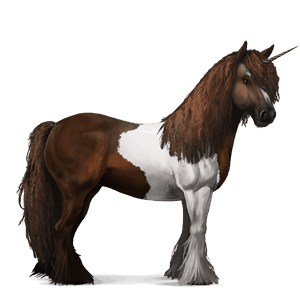 unicórnio de passeio gypsy vanner tobiano lazão escuro