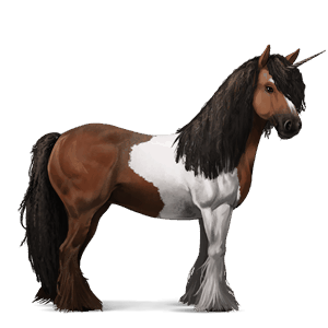 unicórnio de passeio gypsy vanner tobiano castanho