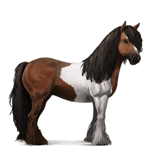 cavalo de passeio puro sangue inglês castanho cereja