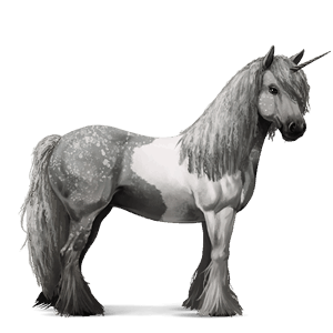unicórnio de passeio gypsy vanner tobiano com pintas cinza
