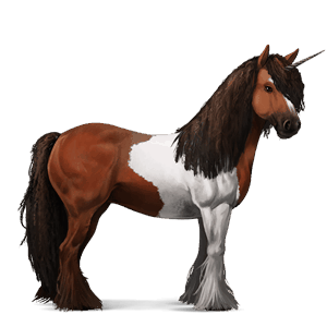 unicórnio de passeio cavalo andaluso lazão crinalvo 