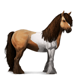 cavalo de trabalho cavalo drum pardo rato