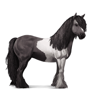 cavalo de passeio tobiano com manchas pretas